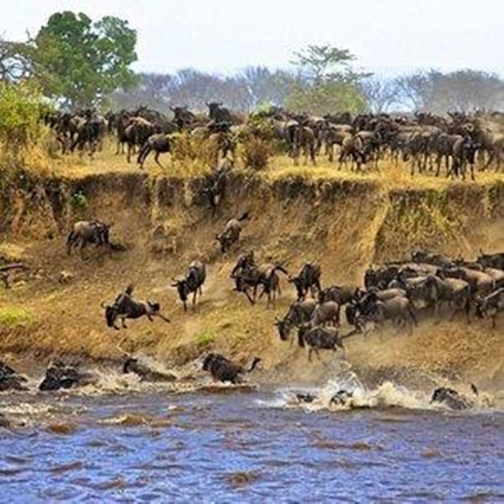 Game lodge for sale in Tuli Block, Botswana - 3BO1729035