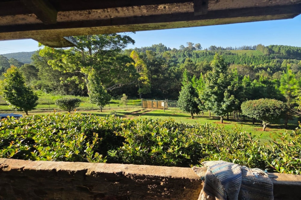 House for sale in Haenertsburg - 1TA1728987