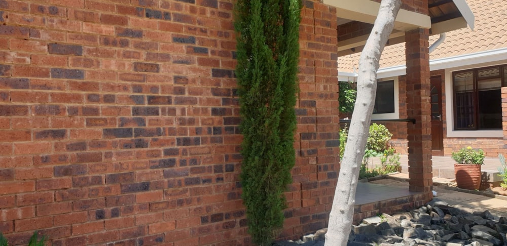 Bachelor apartment for sale in Dan Pienaar - 1BX1731855