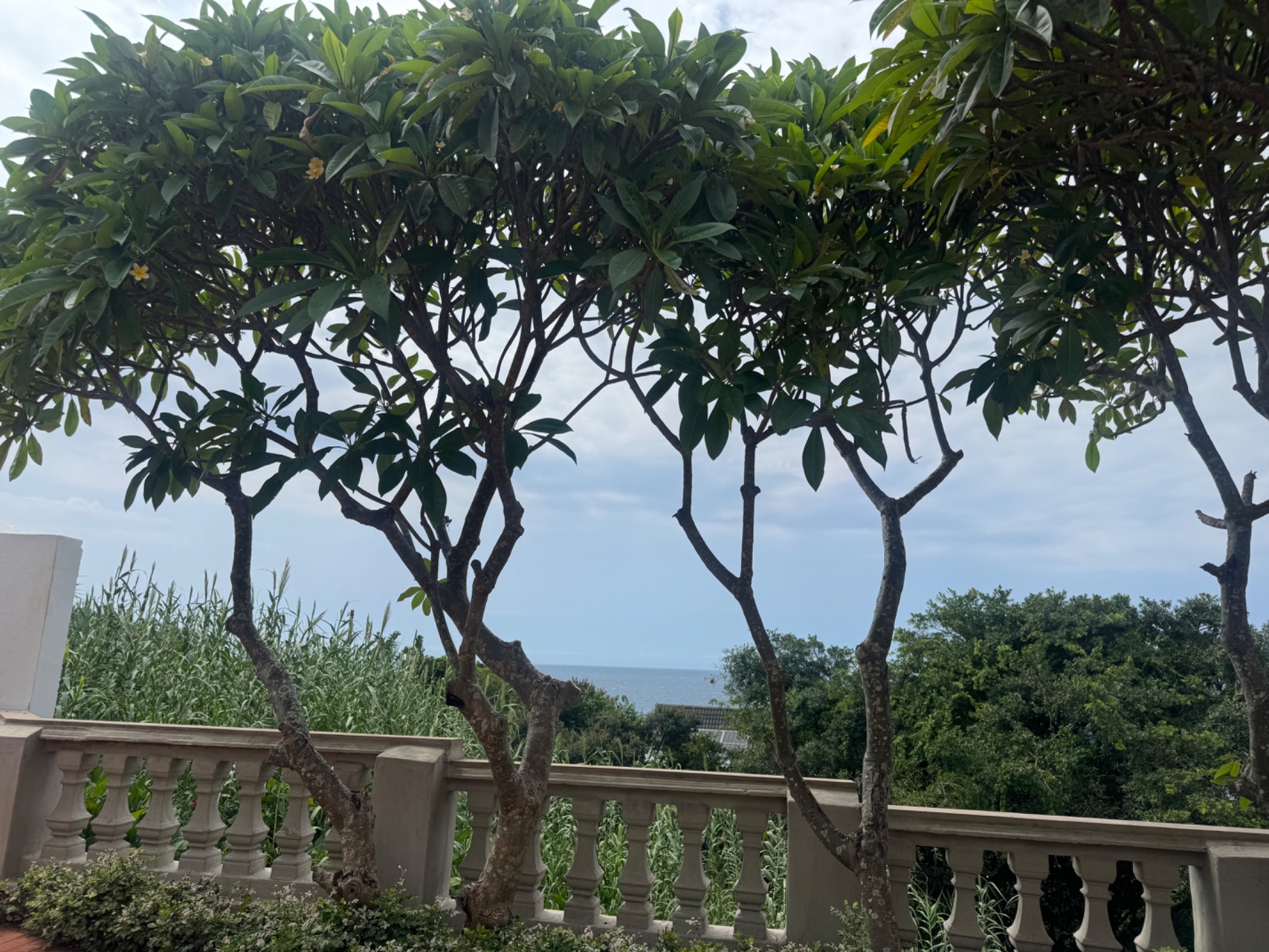 House to rent in Shakas Rock - 1BD1731307