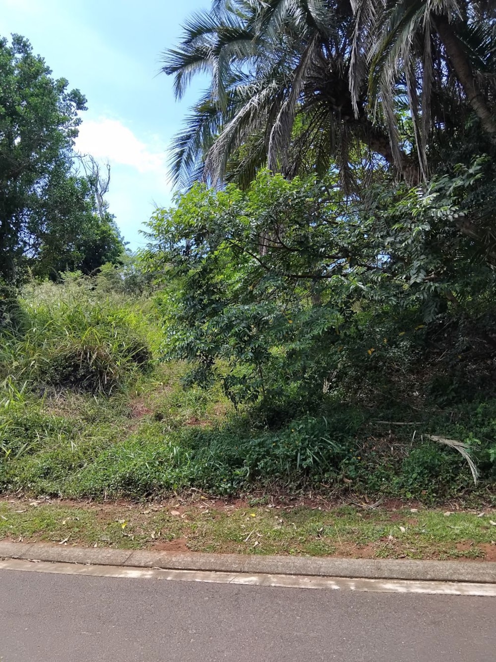 Vacant land for sale in Pennington - 1SI1729558