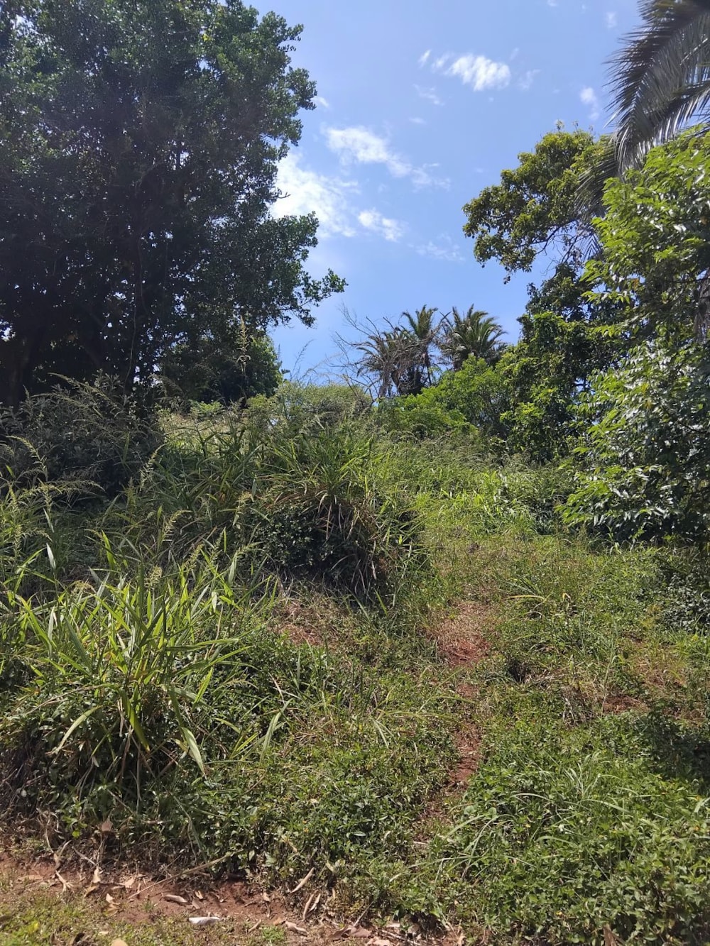 Vacant land for sale in Pennington - 1SI1729558