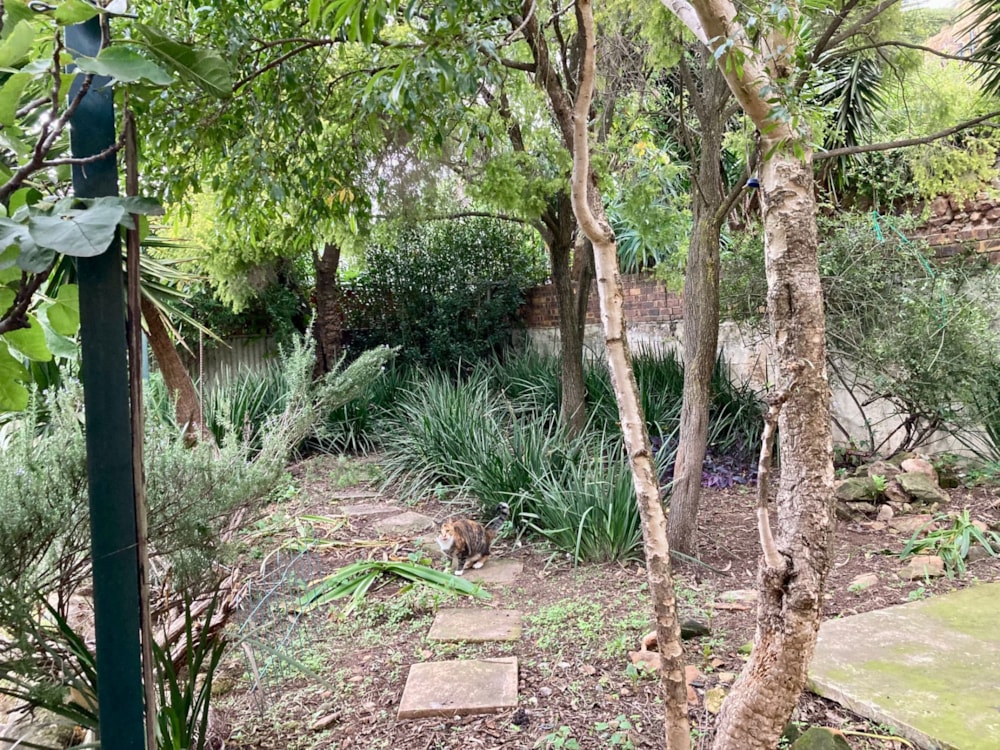 House for sale in Kensington, Bedfordview Area - BED1735555