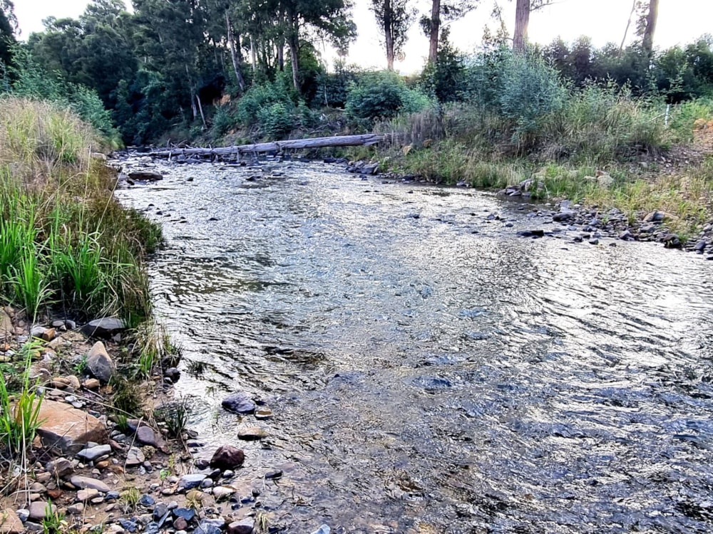 Farm vacant land for sale in Kamberg - 1PM1735458 Farm vacant land for sale in Kamberg - 1PM1735458