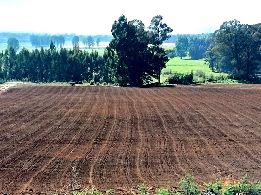 Farm vacant land sold in Kamberg - 1PM1735458 Farm vacant land sold in Kamberg - 1PM1735458