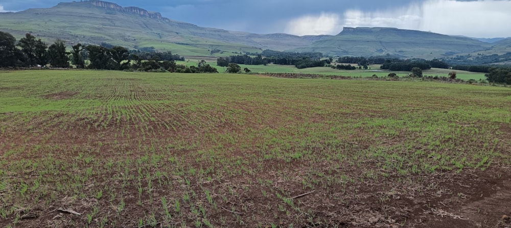 Farm vacant land for sale in Kamberg - 1PM1735458 Farm vacant land for sale in Kamberg - 1PM1735458