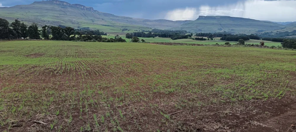Farm vacant land sold in Kamberg - 1PM1735458 Farm vacant land sold in Kamberg - 1PM1735458