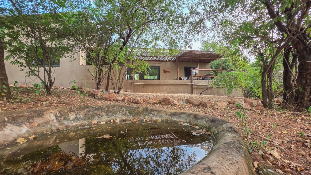 Bed & breakfast for sale in Marloth Park - 1NK1735511 Bed & breakfast for sale in Marloth Park - 1NK1735511