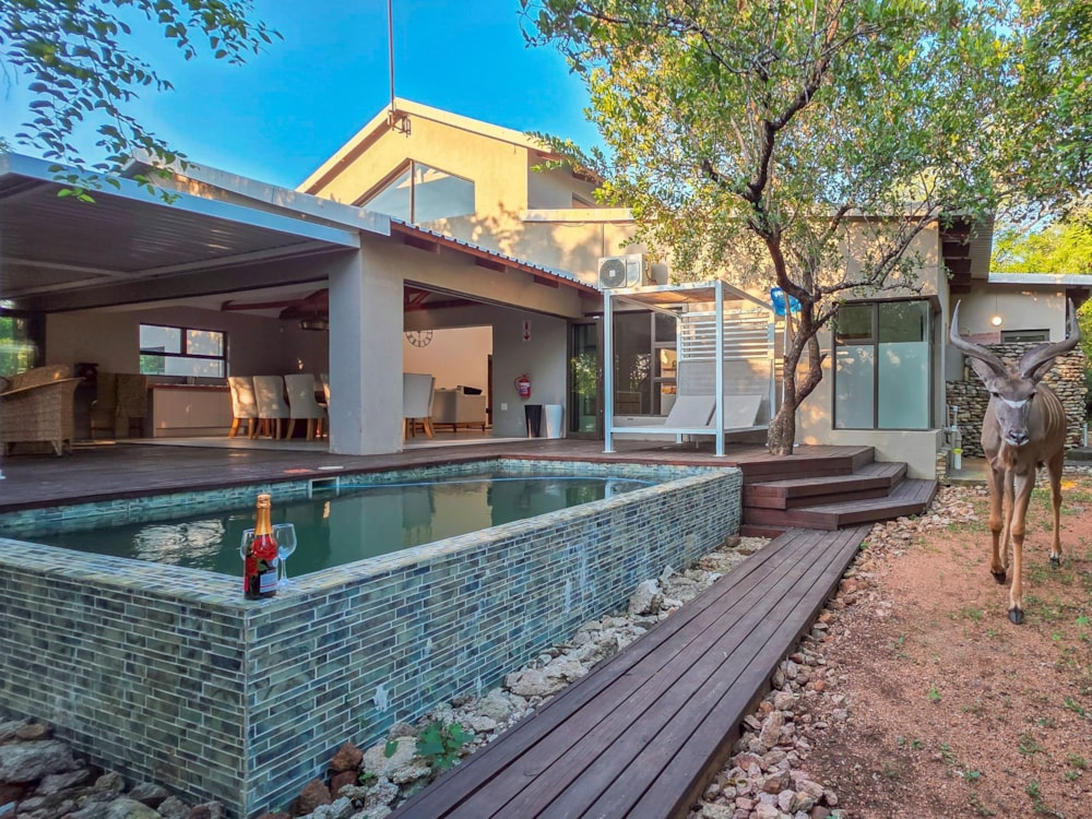 House to rent in Marloth Park - 1NK1720262 House to rent in Marloth Park - 1NK1720262