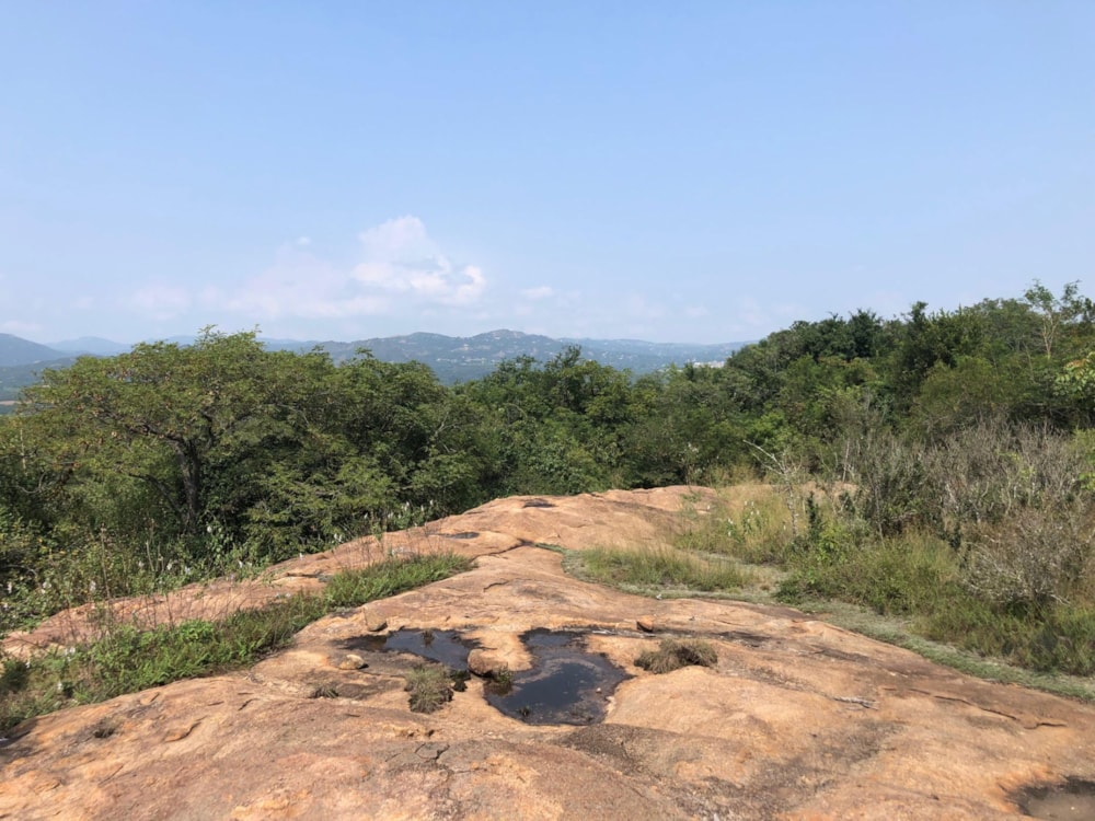 Vacant land for sale in Nelspruit (Mbombela) - 1NS1735274