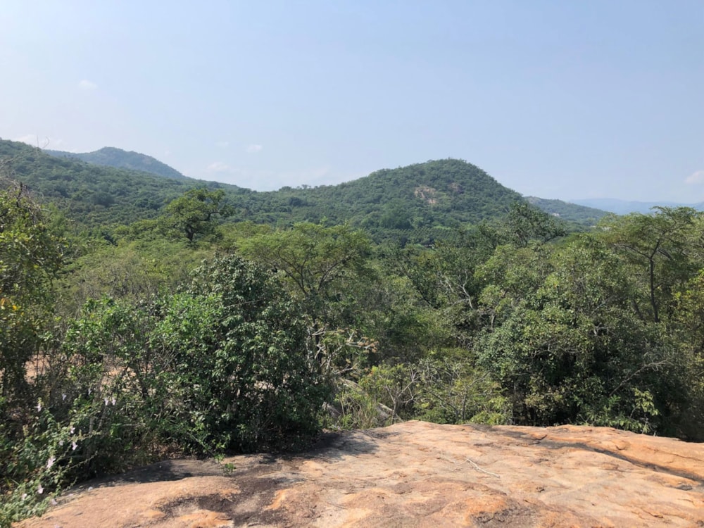 Vacant land for sale in Nelspruit (Mbombela) - 1NS1735274