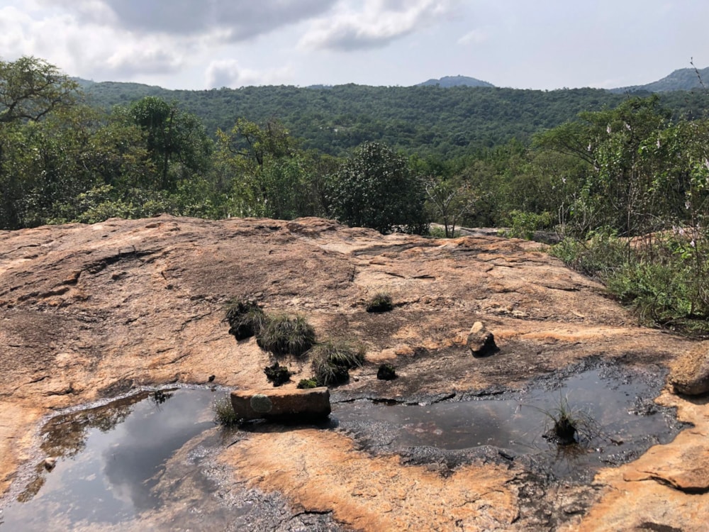 Vacant land for sale in Nelspruit (Mbombela) - 1NS1735274