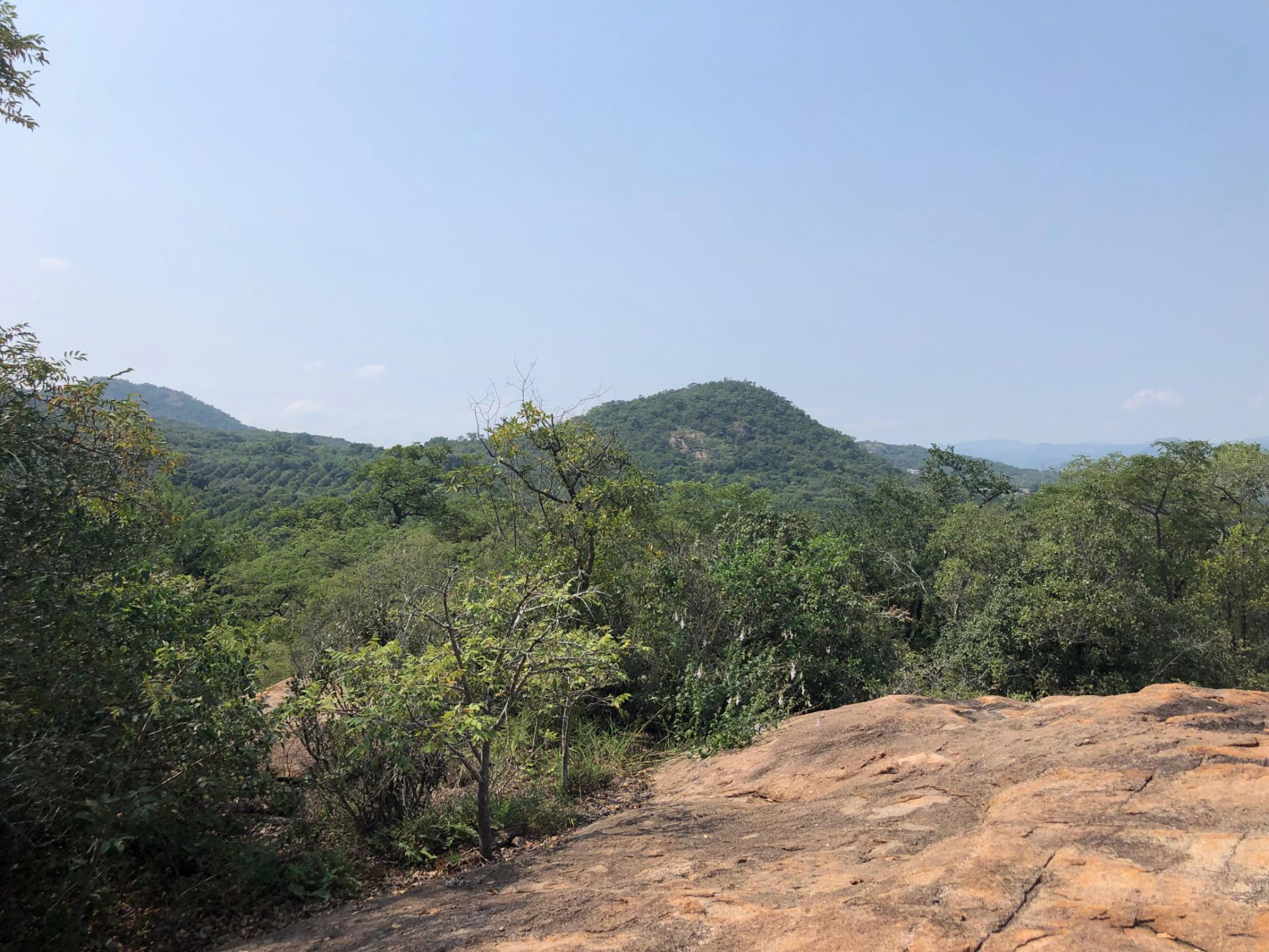 Vacant land for sale in Nelspruit (Mbombela) - 1NS1735274