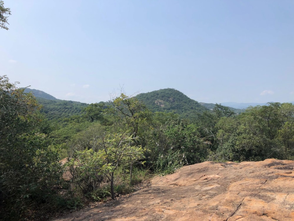 Vacant land for sale in Nelspruit (Mbombela) - 1NS1735274