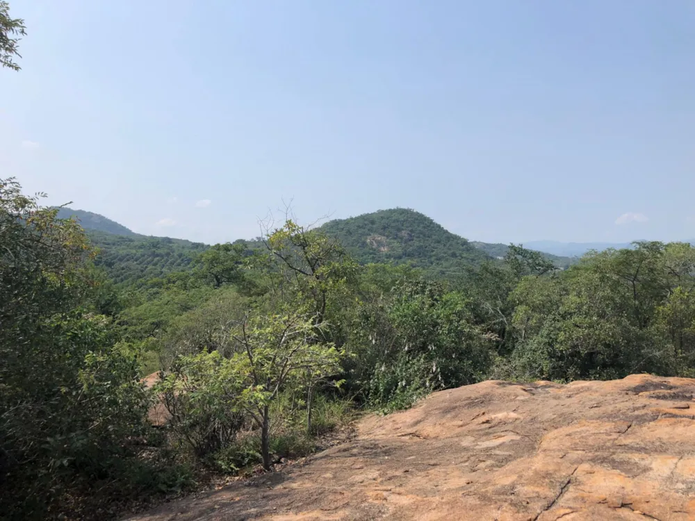 Vacant land for sale in Nelspruit (Mbombela) - 1NS1735274 Vacant land for sale in Nelspruit (Mbombela) - 1NS1735274