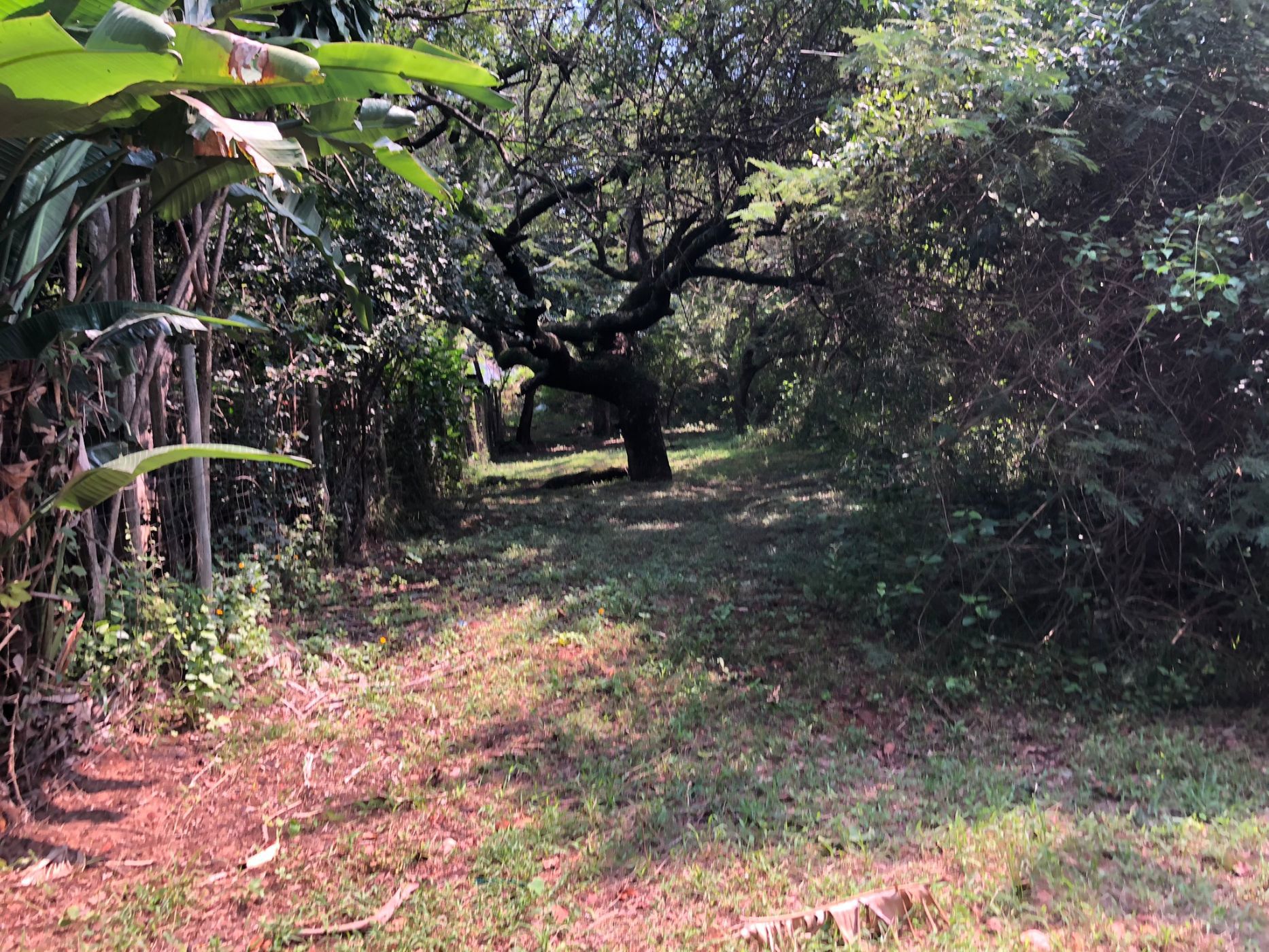 Vacant land for sale in Nelspruit (Mbombela) - 1NS1735279