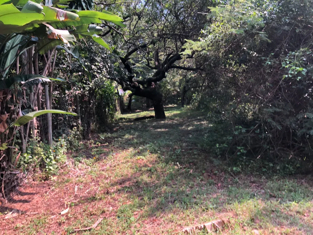 Vacant land for sale in Nelspruit (Mbombela) - 1NS1735279 Vacant land for sale in Nelspruit (Mbombela) - 1NS1735279