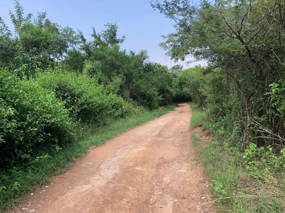 Vacant land for sale in Nelspruit (Mbombela) - 1NS1735279 Vacant land for sale in Nelspruit (Mbombela) - 1NS1735279