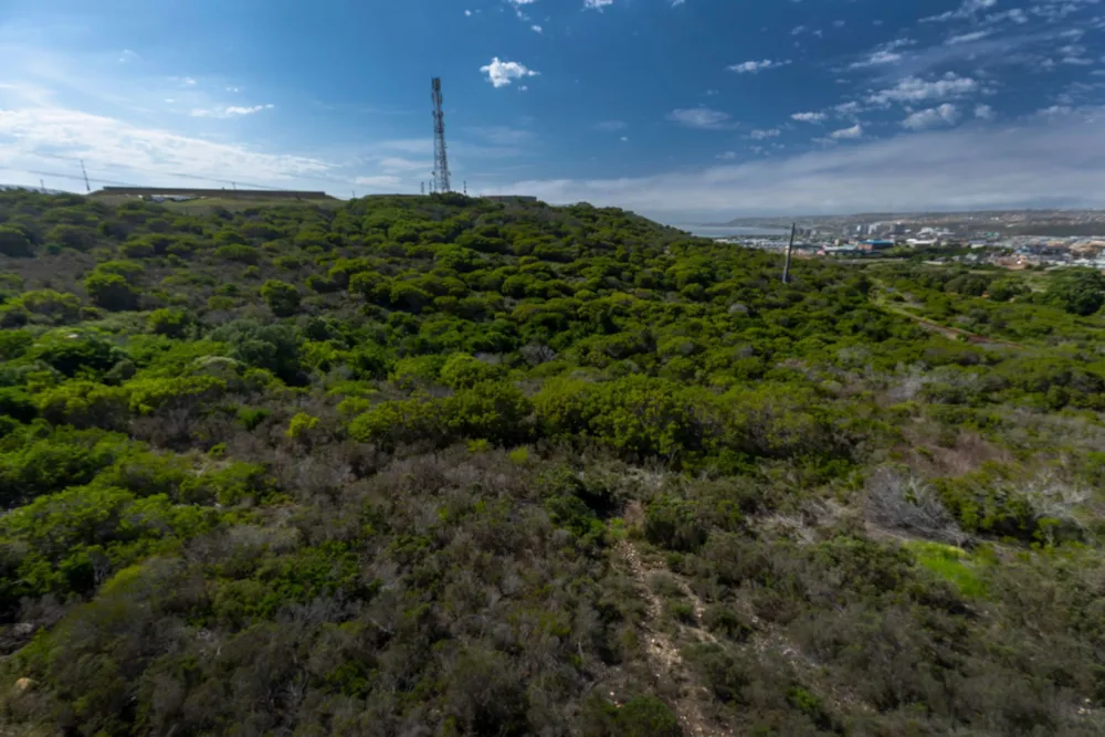 Residential vacant land sold in Seemeeupark, Hartenbos - 1MB1734862 Residential vacant land sold in Seemeeupark, Hartenbos - 1MB1734862