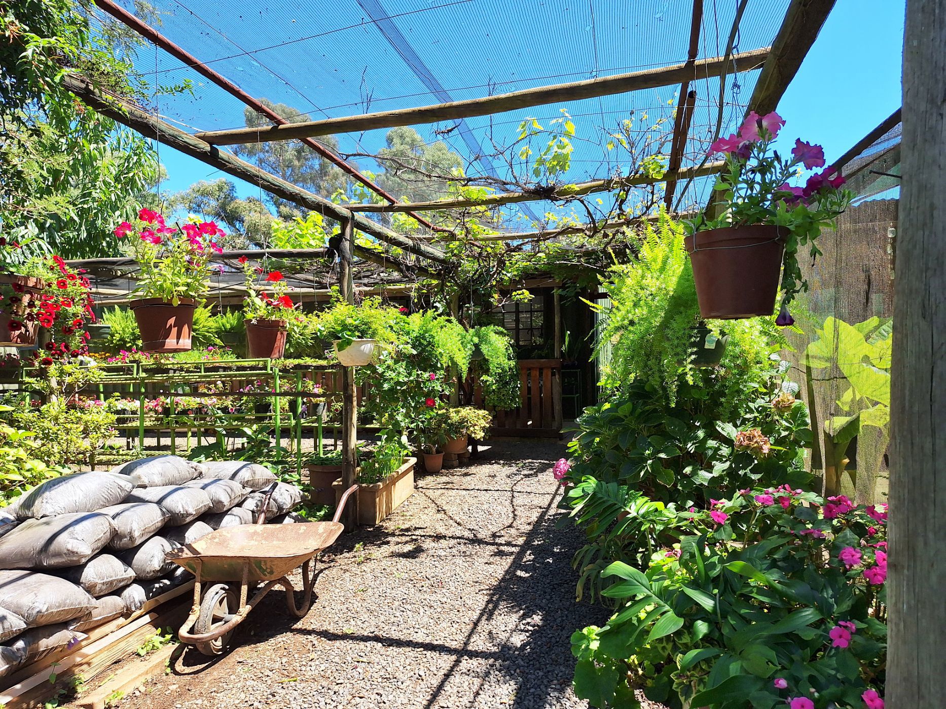 Residential vacant land for sale in Lydenburg (Mashishing) - 1LY1733244