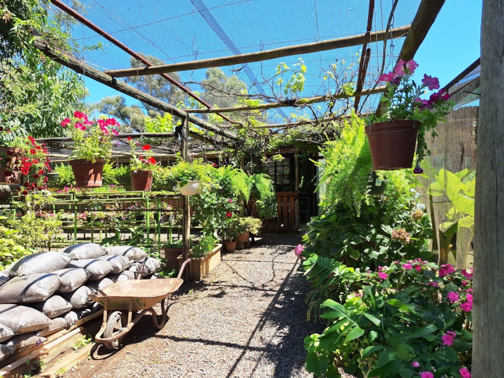 Residential vacant land for sale in Lydenburg (Mashishing) - 1LY1733244