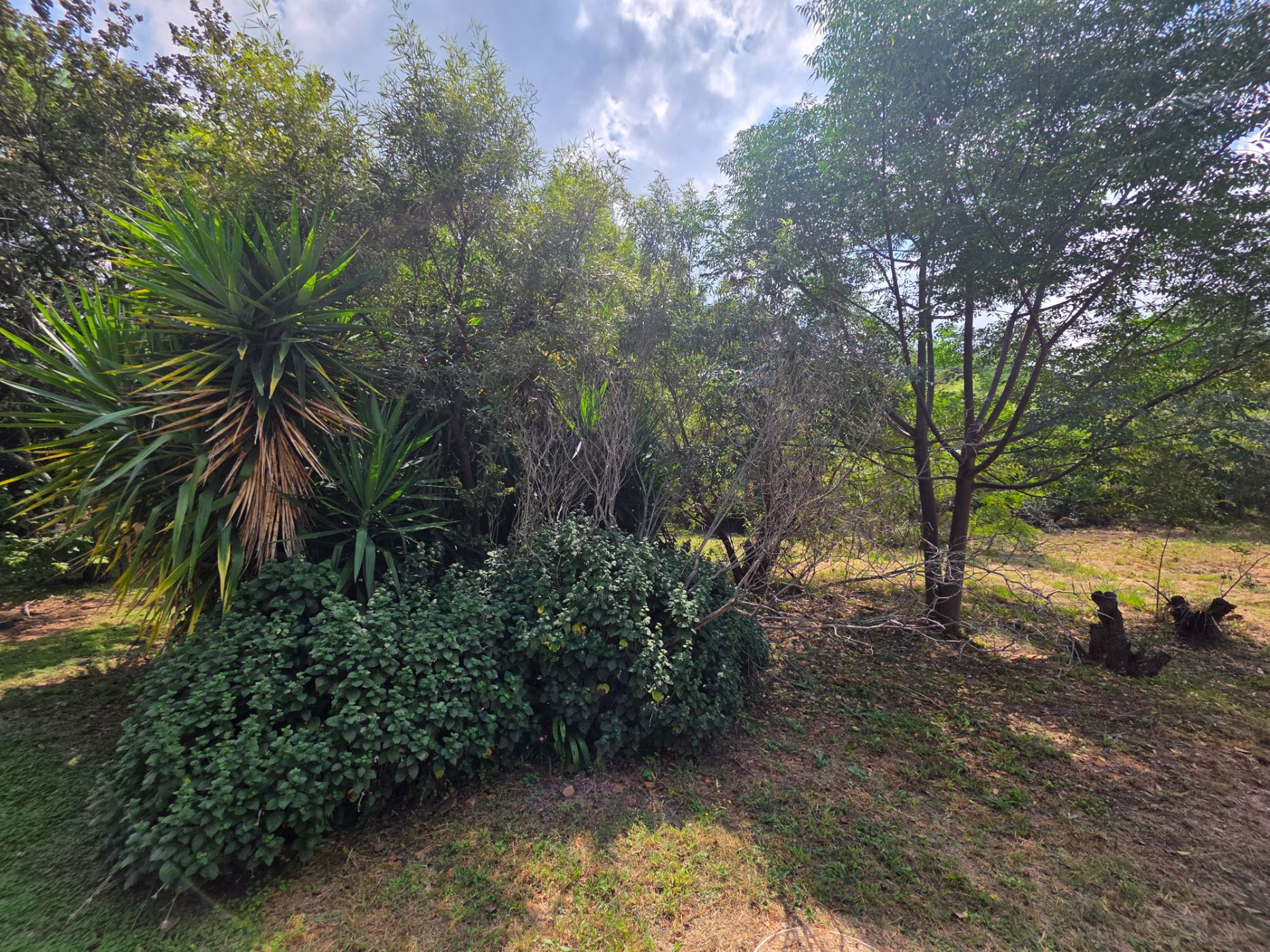 Vacant land for sale in Kosmos Ridge - 1HR1611846