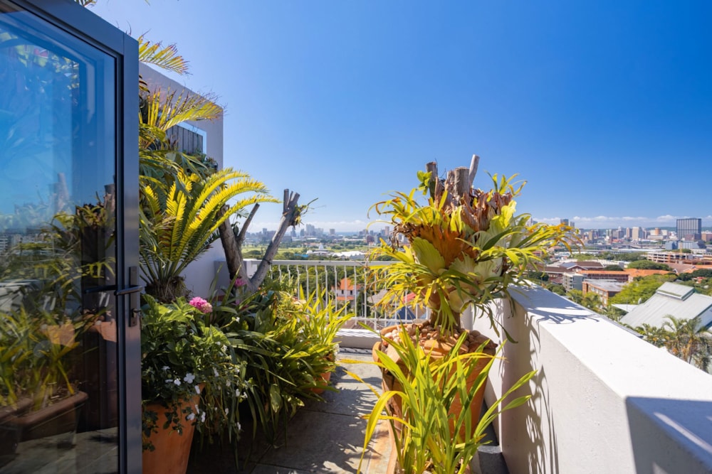 Apartment for sale in Musgrave - 1DA1734267