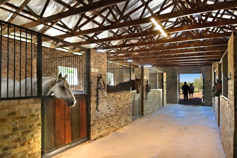 Double-storey house for sale in Kyalami AH - MR1732967 Double-storey house for sale in Kyalami AH - MR1732967