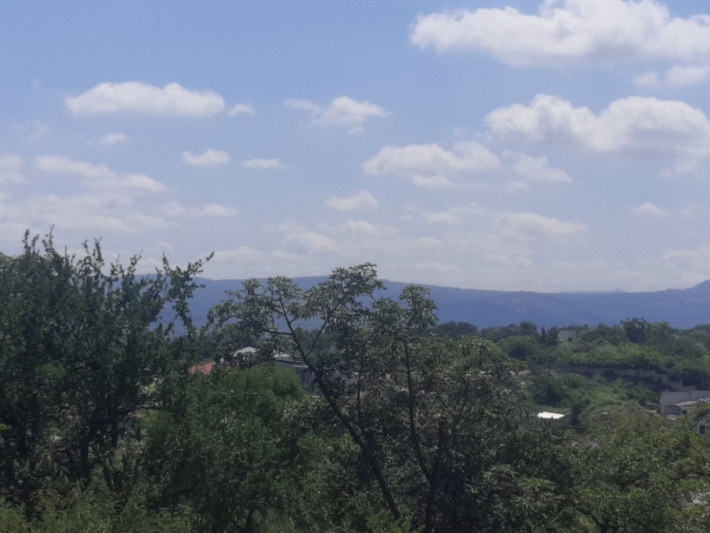 Vacant land for sale in Drum Rock - 1NS1734335 Vacant land for sale in Drum Rock - 1NS1734335