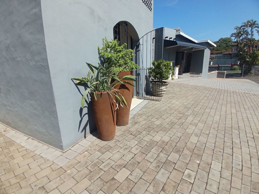 Commercial Building for sale in Shelly Beach - 1PSH1734998 Commercial Building for sale in Shelly Beach - 1PSH1734998