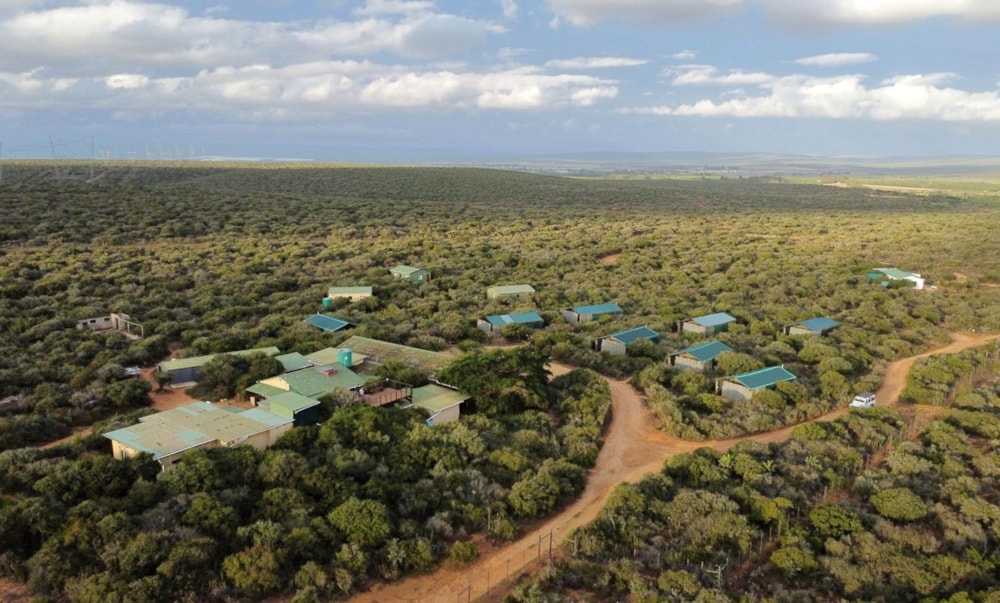 Game farm for sale in Addo - 1PLZ1657972