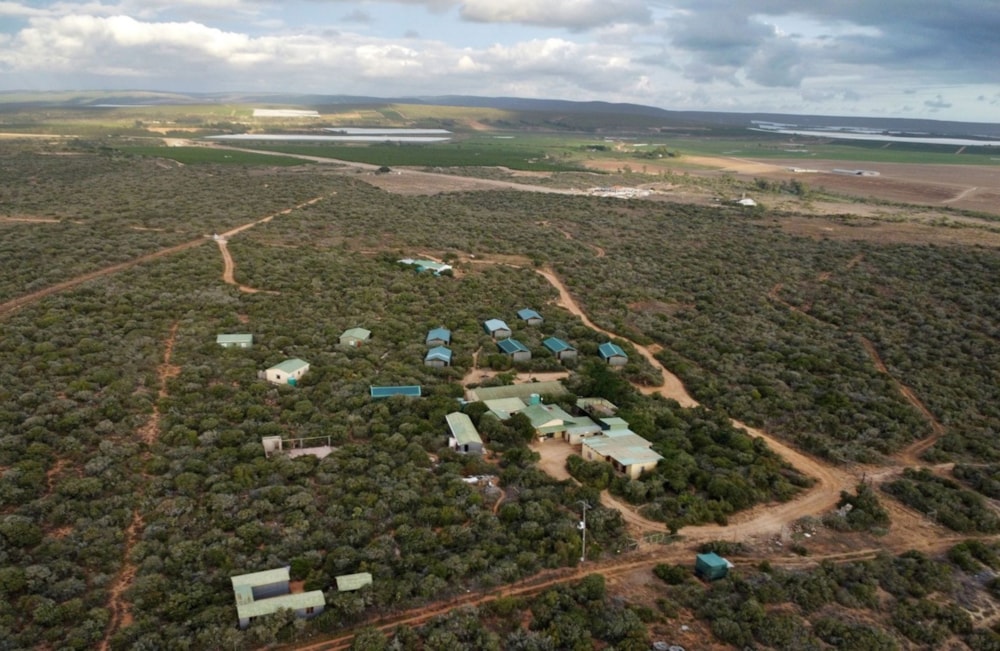 Game farm for sale in Addo - 1PLZ1657972