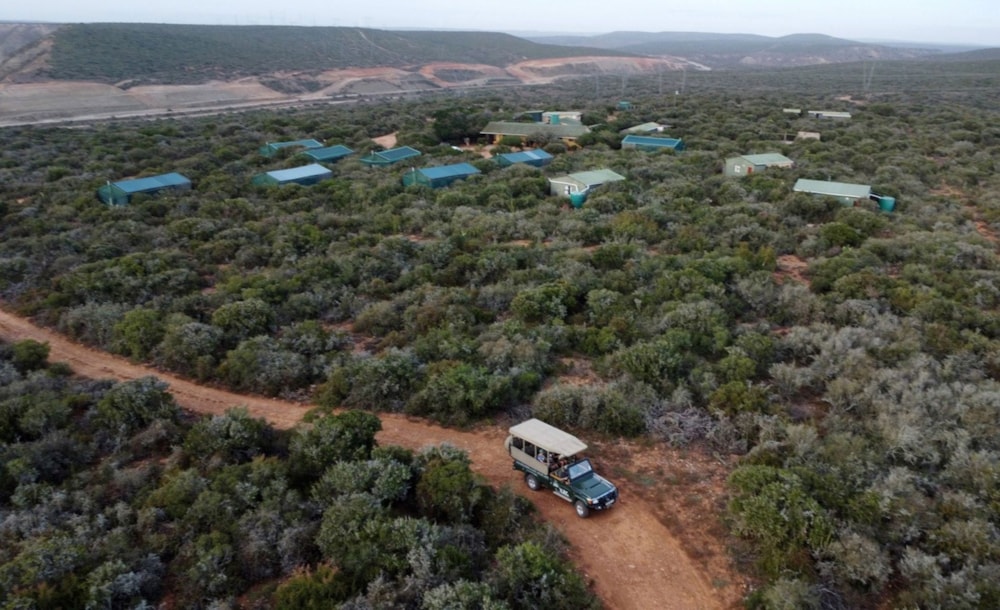 Game farm for sale in Addo - 1PLZ1657972