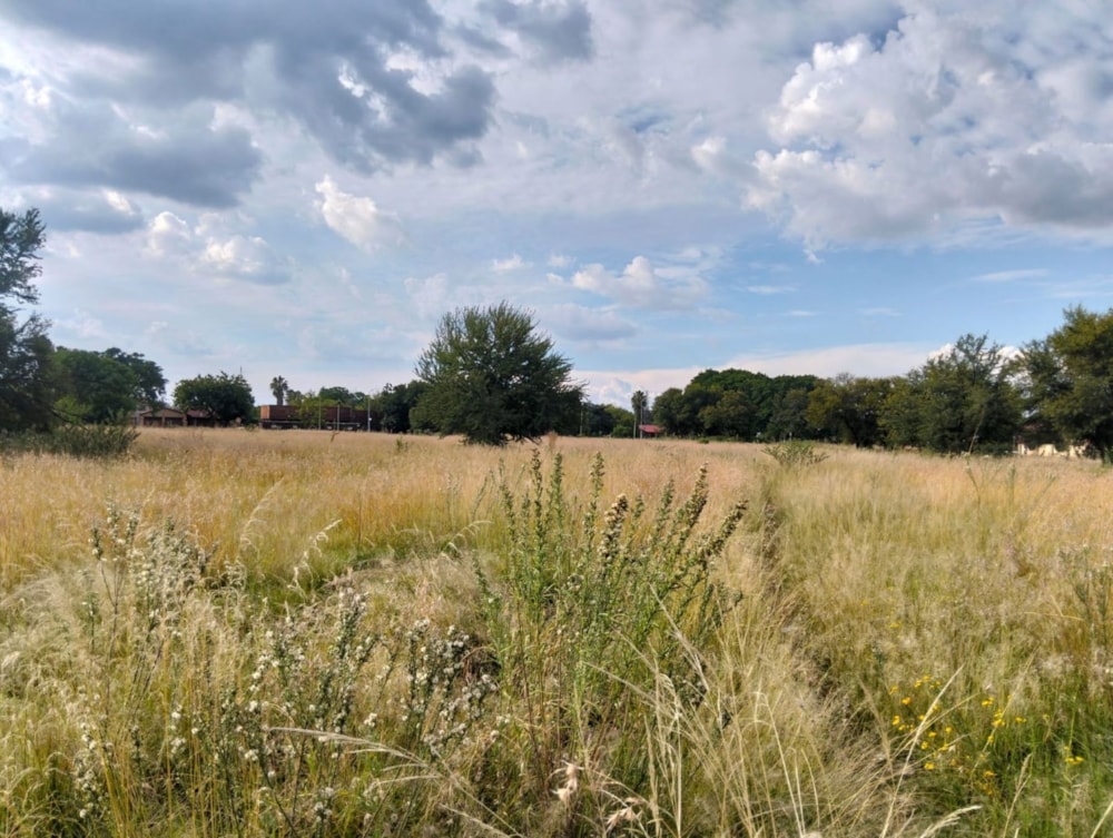 Vacant land for sale in Riebeeckstad, Free State - 1WM1734520 Vacant land for sale in Riebeeckstad, Free State - 1WM1734520