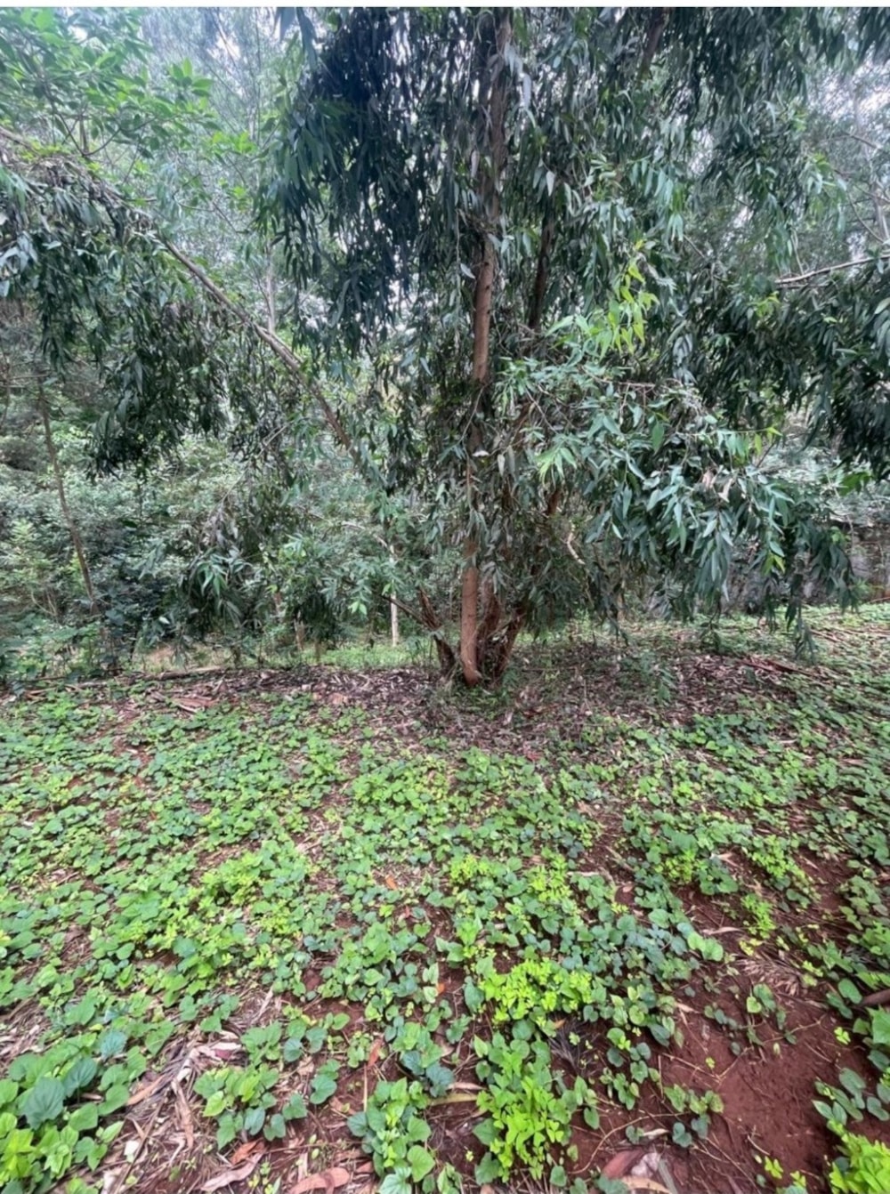 Vacant land for sale in Kitisuru, Kenya - 3KE1731683