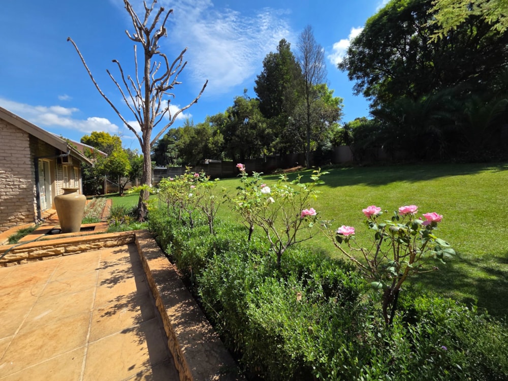 House for sale in Signal Hill, Newcastle - 1NW1735322 House for sale in Signal Hill, Newcastle - 1NW1735322