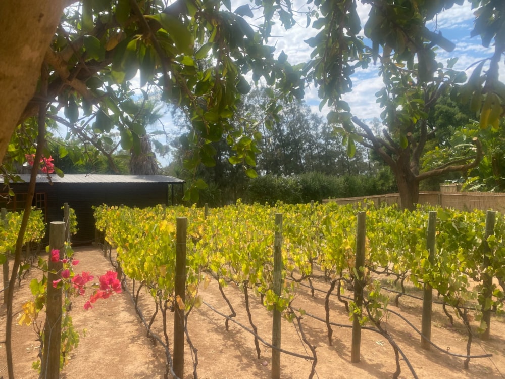 Vacant land for sale in Ongegund Village - RV1733299 Vacant land for sale in Ongegund Village - RV1733299