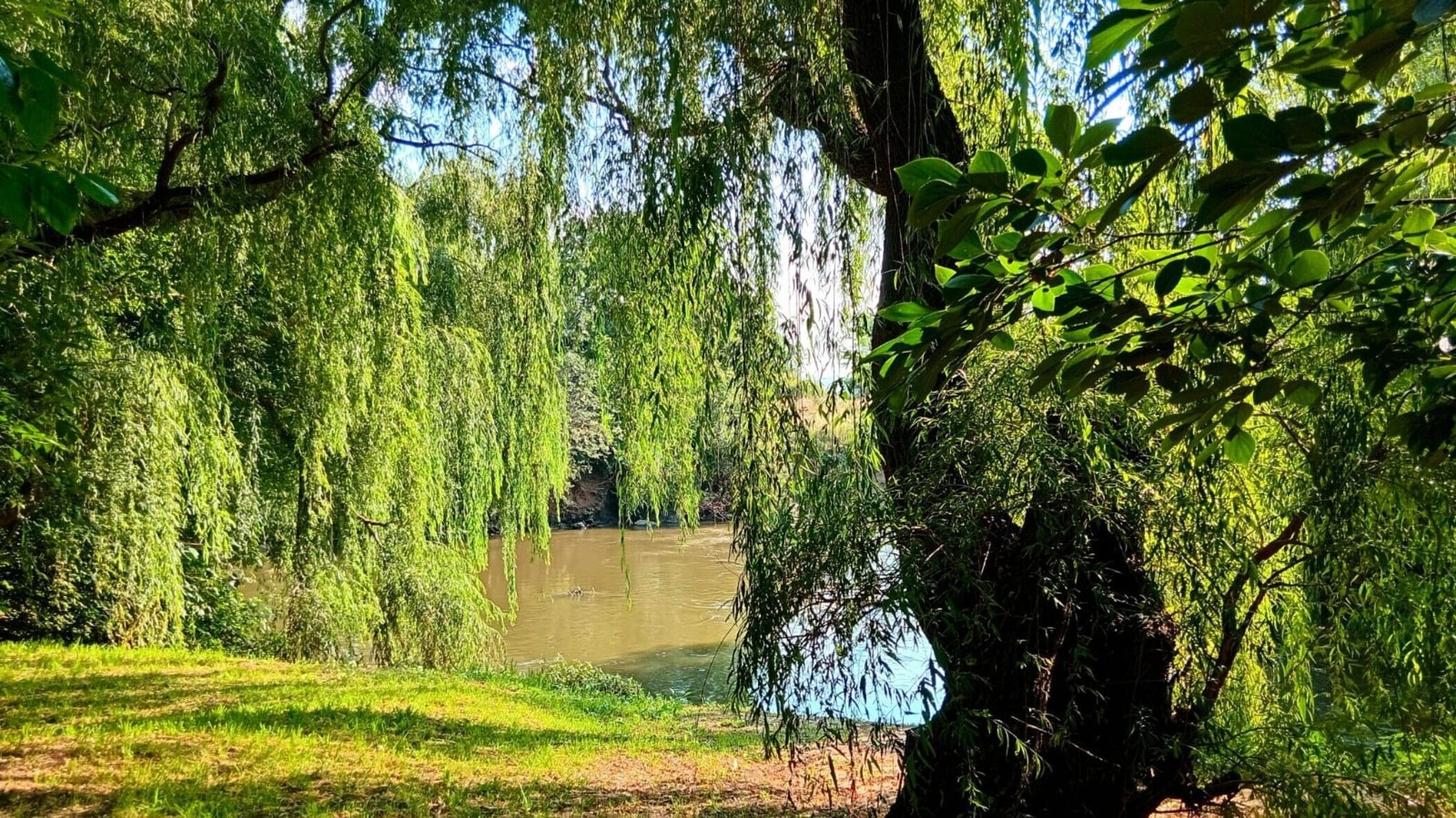 Smallholding for sale in Meyerton - 1VT1730377