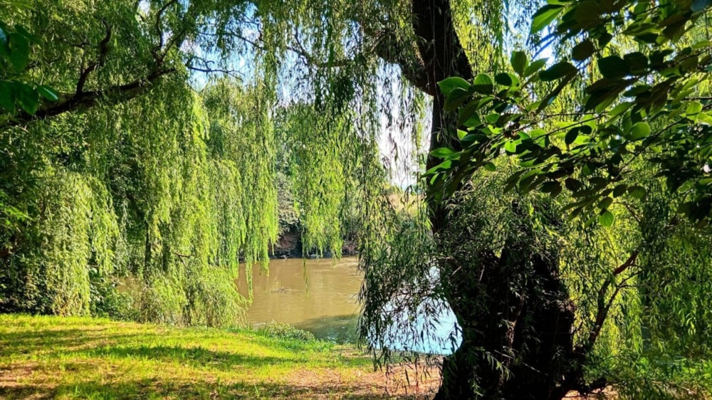 Smallholding for sale in Glen Donald - 1VT1730377 Smallholding for sale in Glen Donald - 1VT1730377