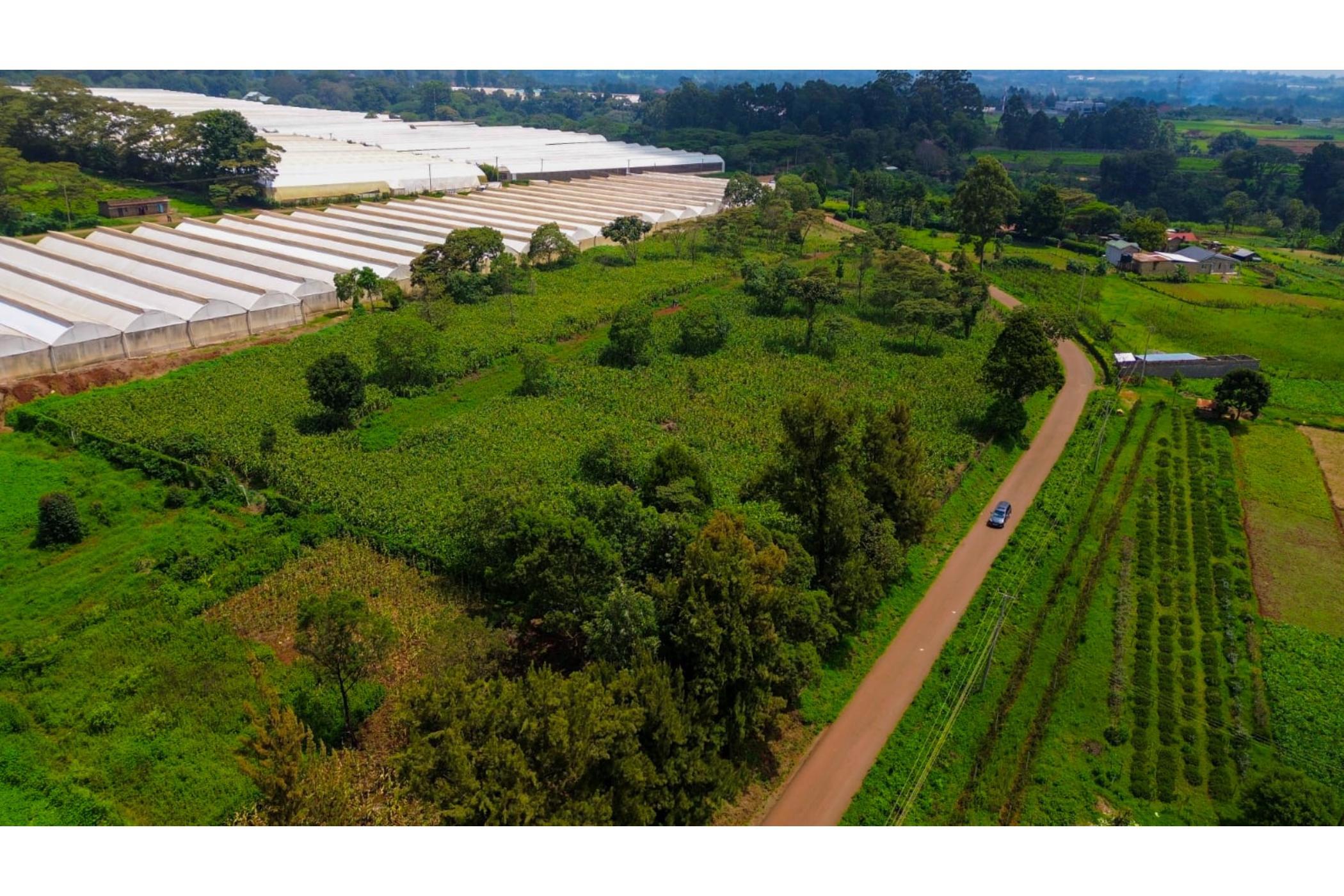 Vacant land for sale in Tigoni, Kenya - 3KE1722612