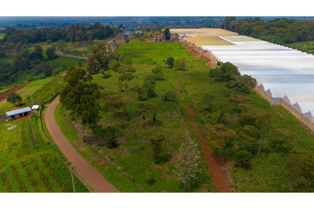 Vacant land for sale in Tigoni, Kenya - 3KE1722610 Vacant land for sale in Tigoni, Kenya - 3KE1722610