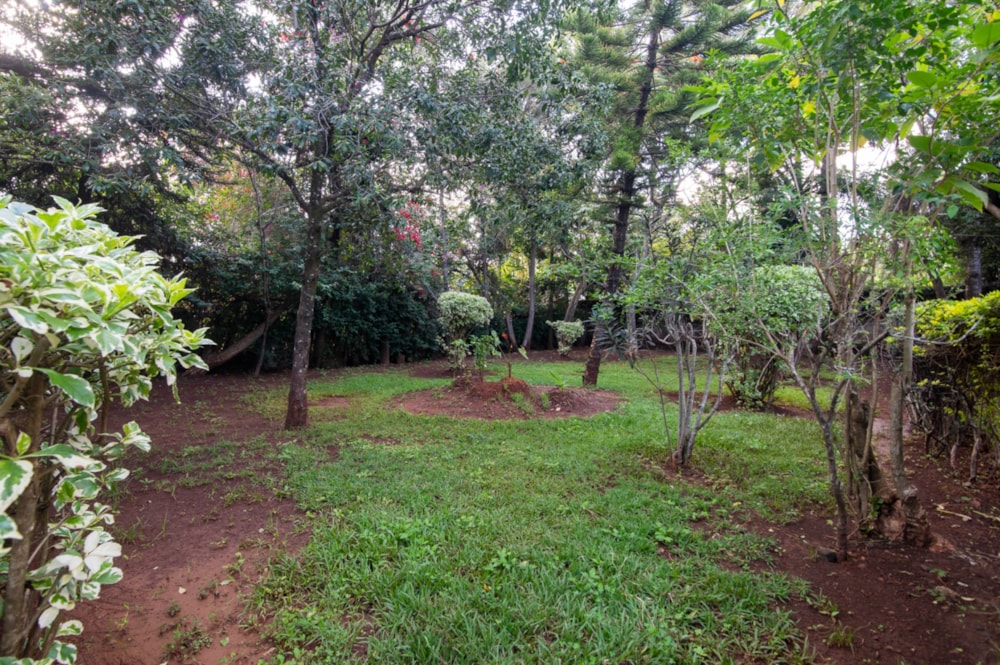 Double-storey house to rent in Karen, Kenya - 3KE1732603