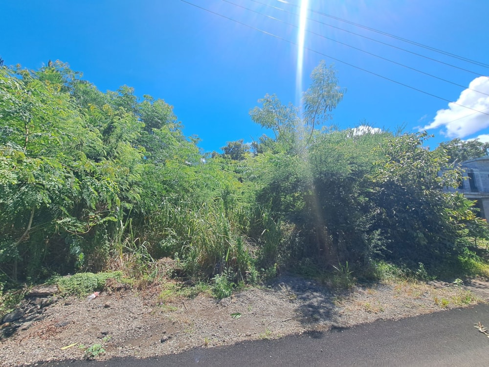 Vacant land for sale in Balaclava, Mauritius - MPR1726459
