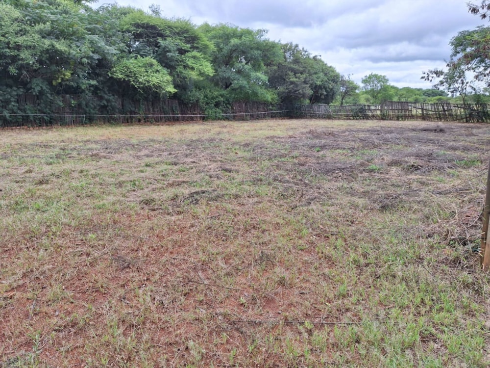 Breeding farm for sale in Bon Accord AH - PTM1734747 Breeding farm for sale in Bon Accord AH - PTM1734747