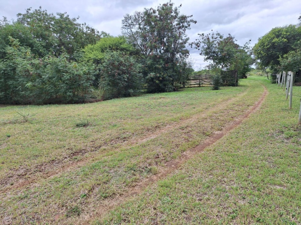 Breeding farm for sale in Bon Accord AH - PTM1734747 Breeding farm for sale in Bon Accord AH - PTM1734747