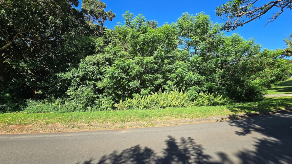 Residential vacant land for sale in Uvongo - 1PSH1734892