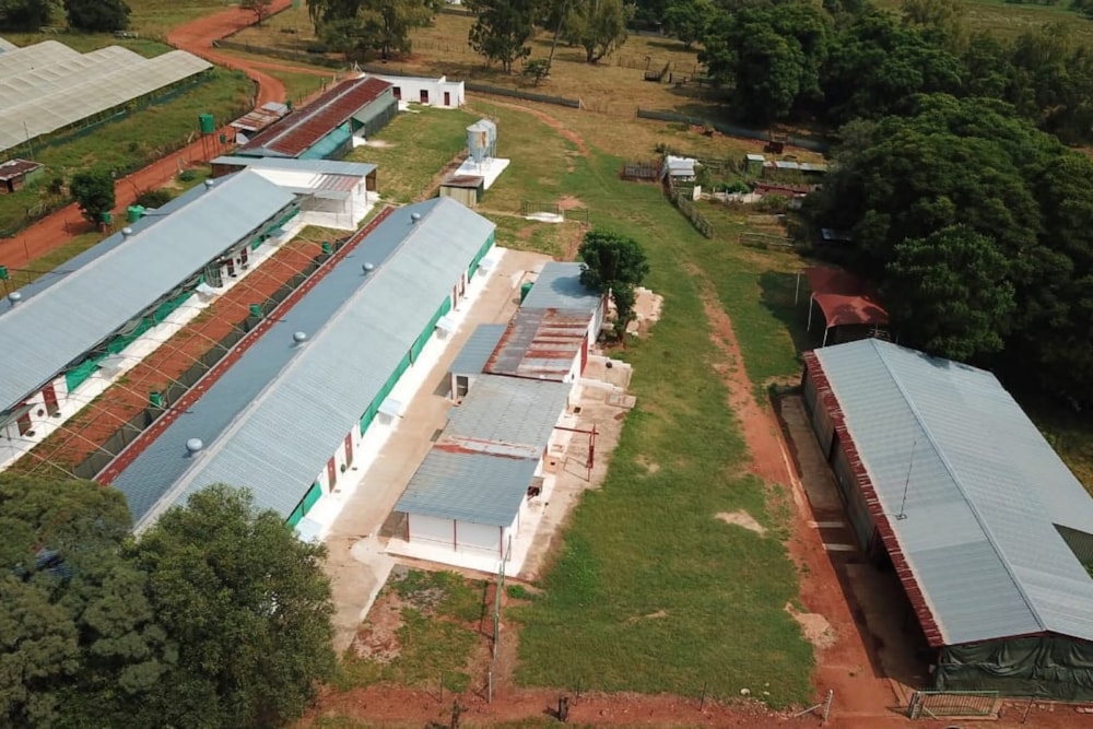 Mixed use farm for sale in Mokopane - 1TA1732388 Mixed use farm for sale in Mokopane - 1TA1732388