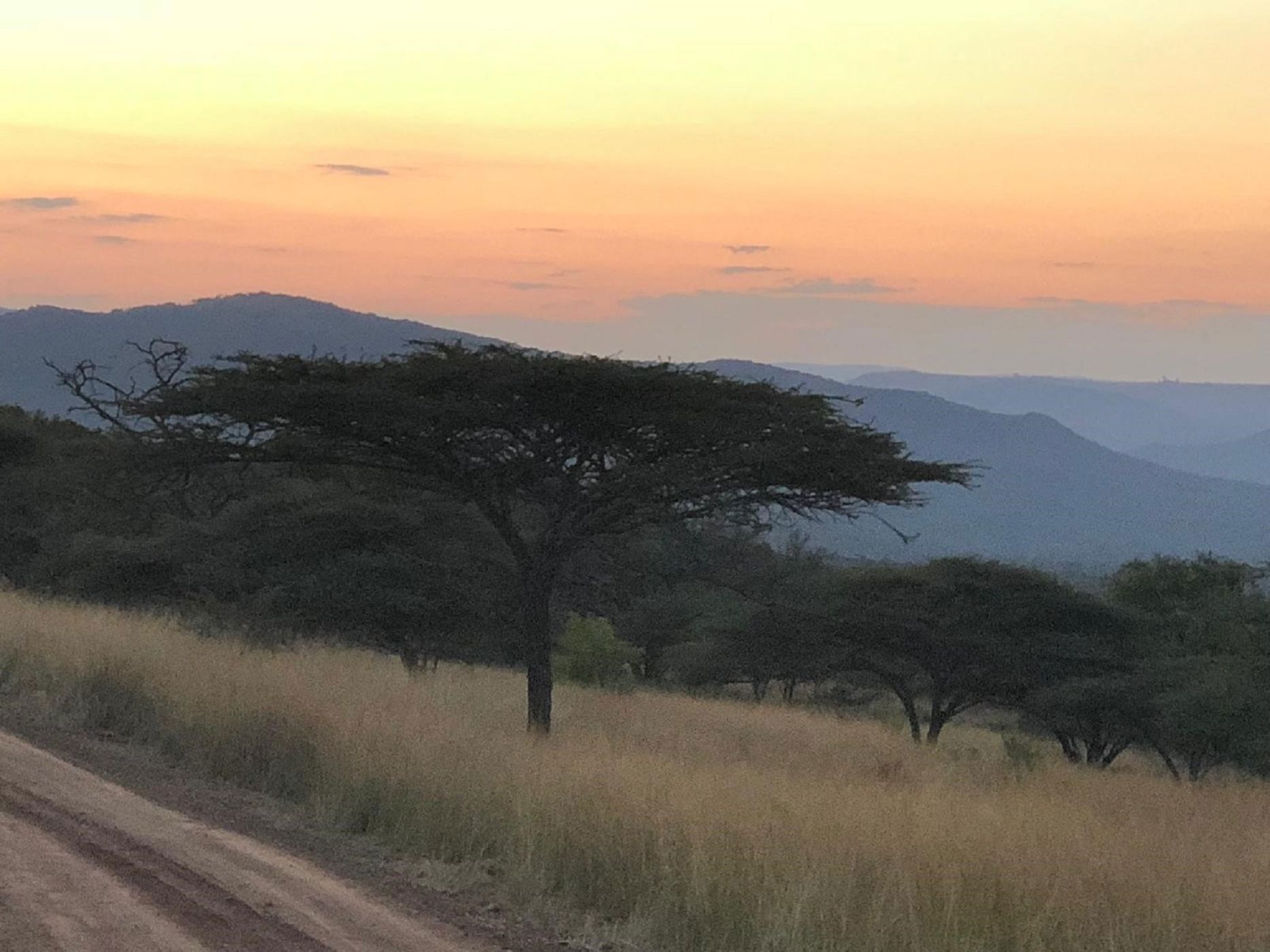 Game farm for sale in Pongola - 1RY1733589