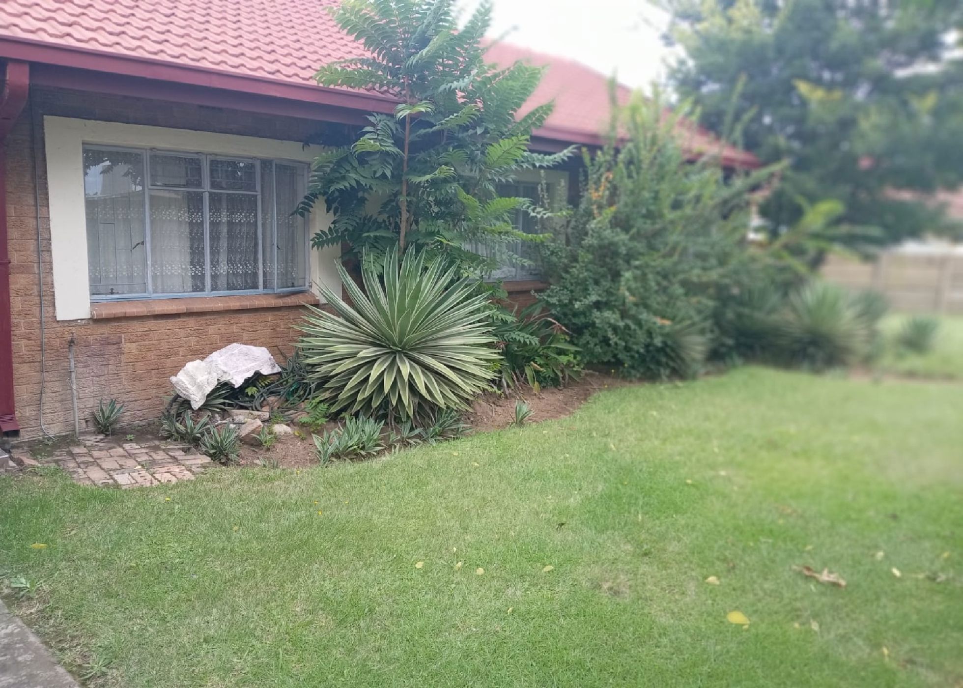 Guesthouse for sale in Rietkuil - 1MD1732243