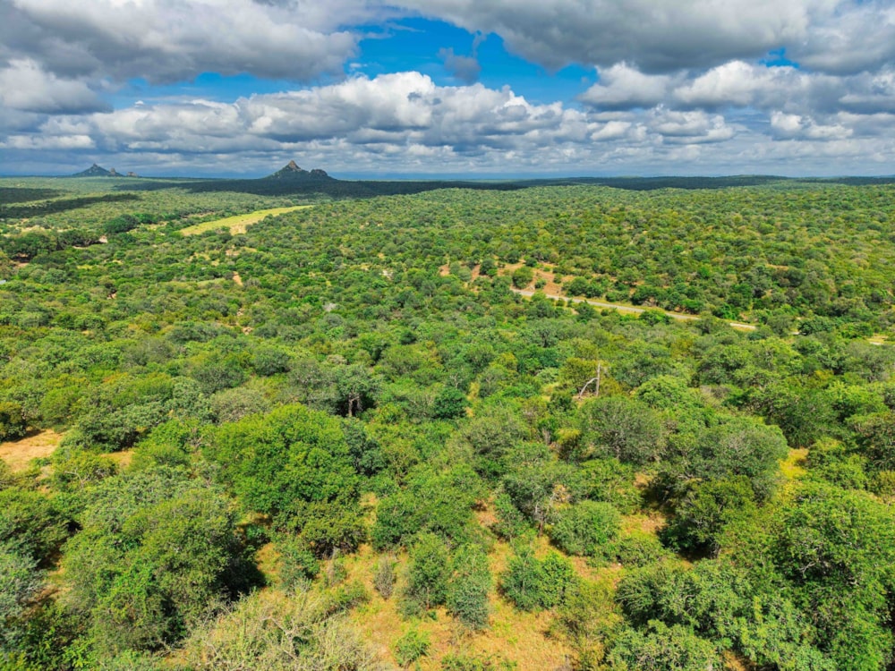 Vacant land for sale in Elephant Rock Eco Estate - 1HS1732303